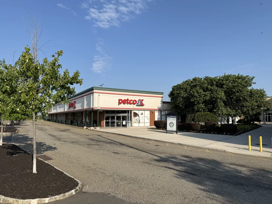 Petco — Essex Green