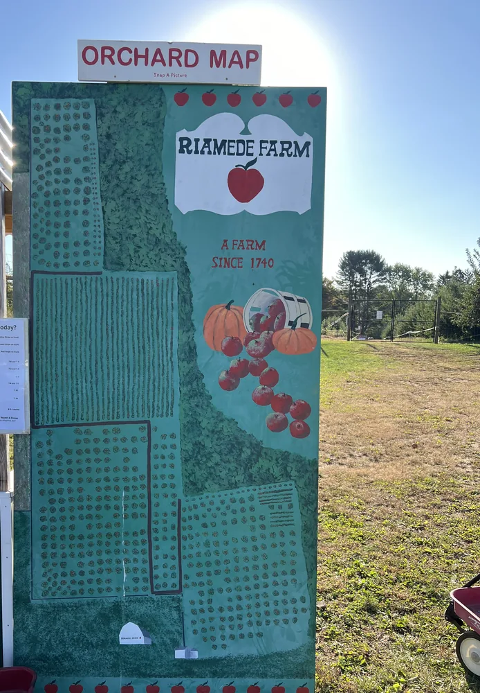 Apples picking