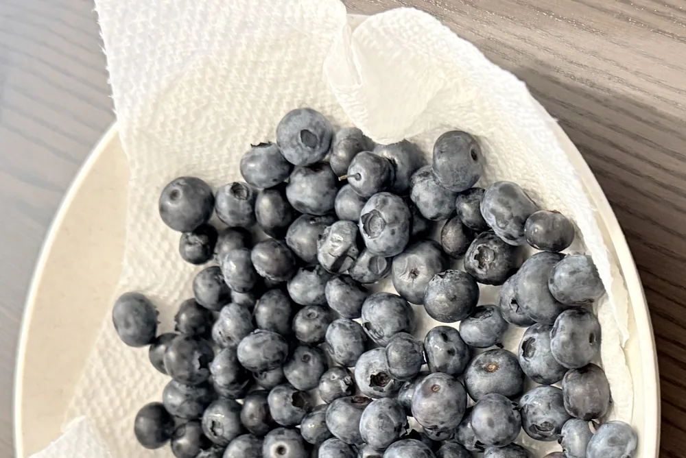 Blueberries picking
